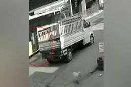 لحظه دلخراش زیر گرفتن یک دانشجو توسط اتوبوس در پی فرار از سگ/ ویدئو