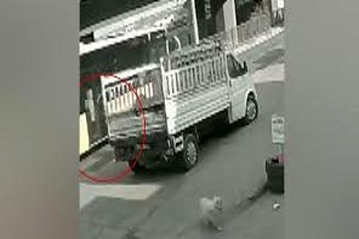 لحظه دلخراش زیر گرفتن یک دانشجو توسط اتوبوس در پی فرار از سگ/ ویدئو