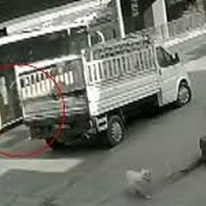 لحظه دلخراش زیر گرفتن یک دانشجو توسط اتوبوس در پی فرار از سگ/ ویدئو