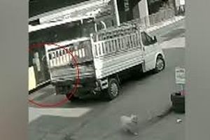 لحظه دلخراش زیر گرفتن یک دانشجو توسط اتوبوس در پی فرار از سگ/ ویدئو