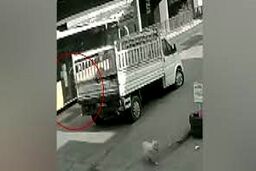 لحظه دلخراش زیر گرفتن یک دانشجو توسط اتوبوس در پی فرار از سگ/ ویدئو