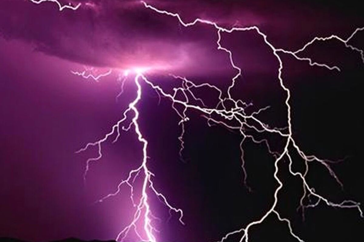 فیلم تلخ مرگ 2 برادر براثر رعد و برق 