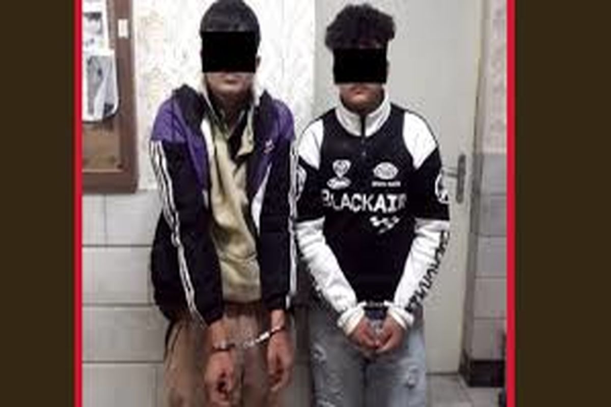 جوان «تخس»؛ سردسته باند گوشیقاپی بود