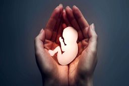 کیفرخواست پرونده باند سقط جنین در شیراز صادر شد