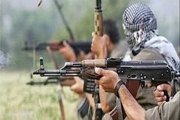 هلاکت و بازداشت ۱۲ تروریست در سیستان و بلوچستان