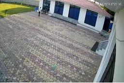 برق‌گرفتگی مرگبار کارمند هتل هنگام تعقیب میمون/ ویدئو