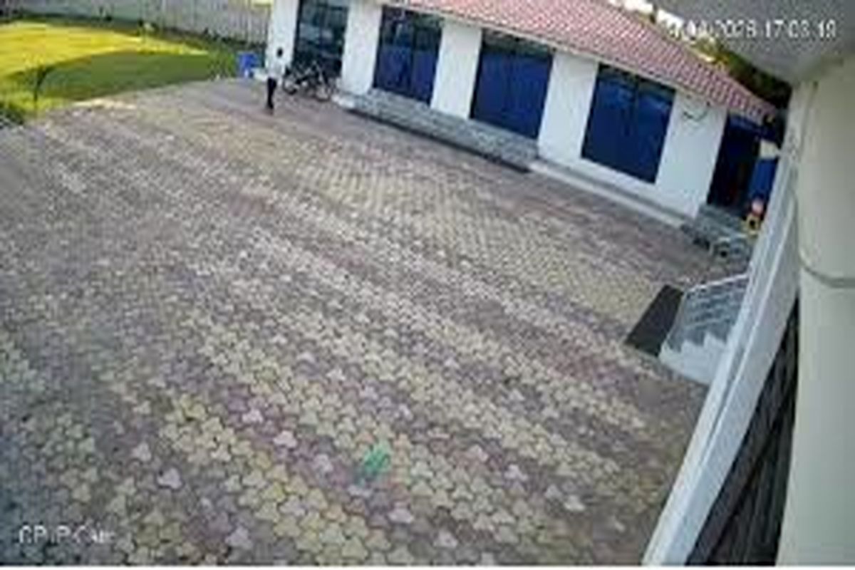 برق‌گرفتگی مرگبار کارمند هتل هنگام تعقیب میمون/ ویدئو