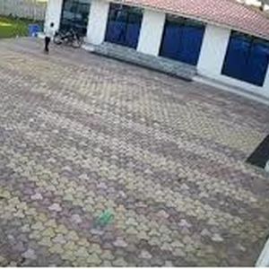 برق‌گرفتگی مرگبار کارمند هتل هنگام تعقیب میمون/ ویدئو