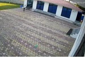 برق‌گرفتگی مرگبار کارمند هتل هنگام تعقیب میمون/ ویدئو