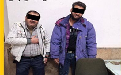 معمای تیرکمان در کیسه دزدان«مغزخودرو»!