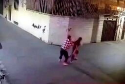 دستگیری سارقی که به مادر و کودک رحم نکرد