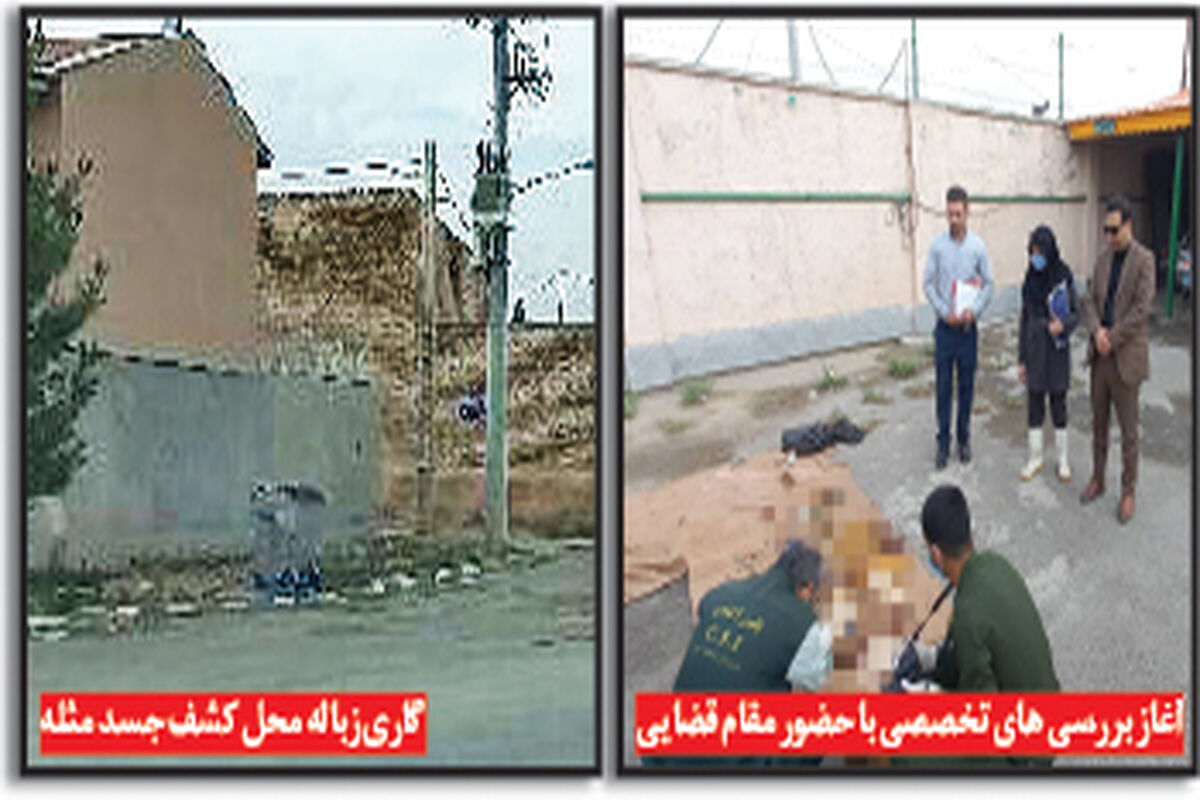 رازگشایی از جسد مثله شده در گاری زباله