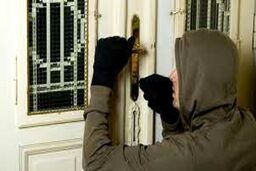 پلیس در تعقیب سارقان خانه مرد آهنگساز