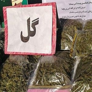 ماجرای ضربه افیونی پلیس،در عملیات مثلثی