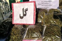 ماجرای ضربه افیونی پلیس،در عملیات مثلثی