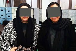 باند ۲ نفره‌ سرقت در بهشت‌زهرا دستگیر شد