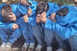 رفیق‌کشی برای گنج