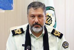 دستگیری یک کلاهبردار هنگام ورود به کشور 