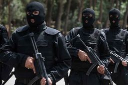 فیلم دیده‌نشده از انهدام بزرگترین باند سارقان منزل توسط نوپو 