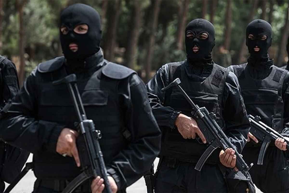 فیلم دیده‌نشده از انهدام بزرگترین باند سارقان منزل توسط نوپو 