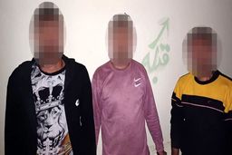 دستگیری عاملان برپایی جنگ احشام و قماربازی