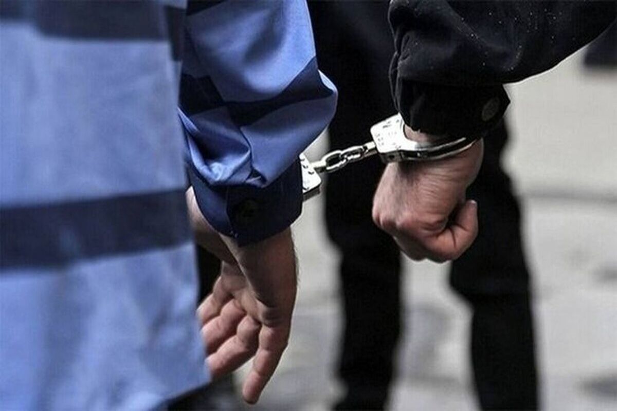 استرداد متهم کلاهبردار ۱۰هزار میلیاردی به کشور