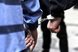 استرداد متهم کلاهبردار ۱۰هزار میلیاردی به کشور