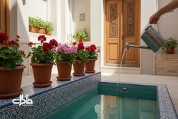 خانه‌های قدیمی چرا حس آرامش بیشتری داشتند؟ از حیاط و شمعدانی تا سایه و آب