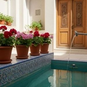 خانه‌های قدیمی چرا حس آرامش بیشتری داشتند؟ از حیاط و شمعدانی تا سایه و آب