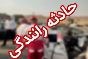 تصادف پژو با اسب در شهر کازرون استان فارس/ ویدئو