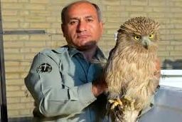 قاتل «هدایت الله دیده بان» همچنان متواری است