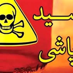 اسیدپاشی روی خواهر به دلیل اختلاف خانوادگی 