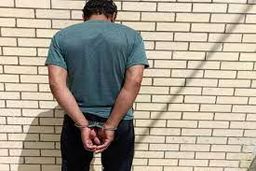 عامل دستبرد به خودروهای اطراف مراکز تجاری به دام افتاد