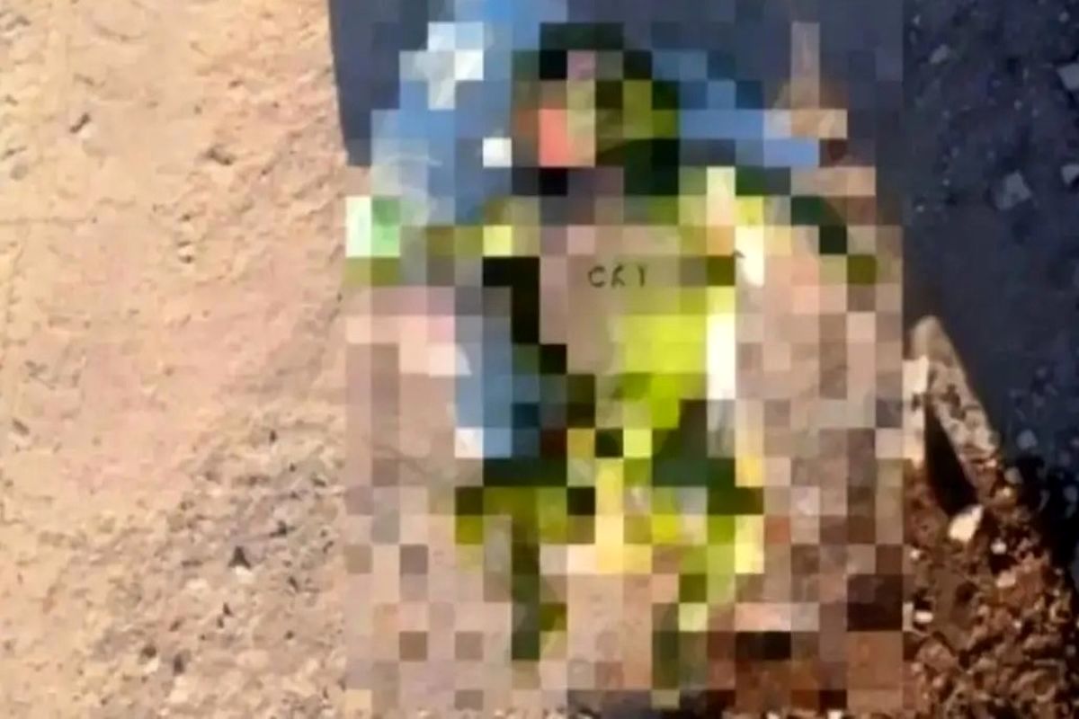 راز جسد نوزاد در کانال آب قیامدشت چیست؟/ تحقیقات پلیس آغاز شد 