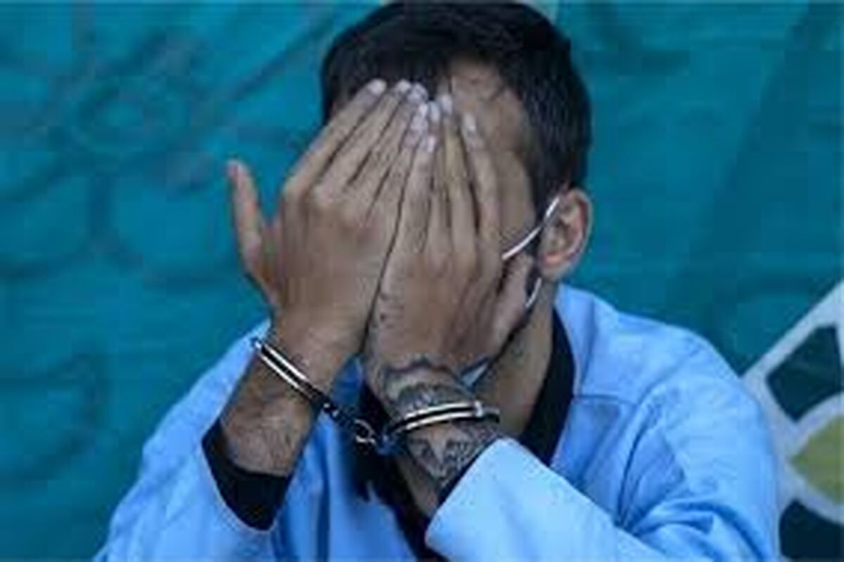 عامل دستبرد به صندوق عقب خودروها دستگیر شد