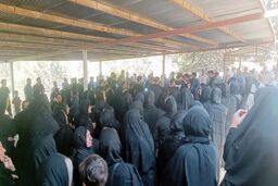 خودکشی 3 دختر به دنبال تهدید اخاذی اینترنتی و فشار اجتماعی/ بازداشت 3 نفر