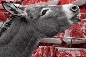 کشف ۲۵۴ کیلو گوشت الاغ و قاطر در تهران