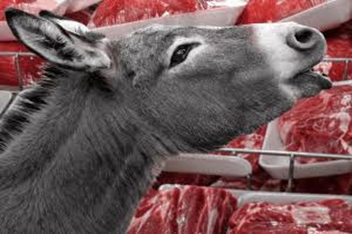 کشف ۲۵۴ کیلو گوشت الاغ و قاطر در تهران