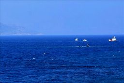 سانحه دریایی در آب‌های ساحلی ترکیه ۱۴ کشته برجای گذاشت