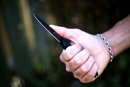 چاقوکشی خونین برای دو آمر به معروف در خیابان لر زاده تهران