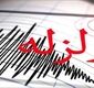 همزمان با اسپانیا، زلزله ۷.۷ ریشتری جزیره فلورس اندونزی را لرزاند/ ویدئو