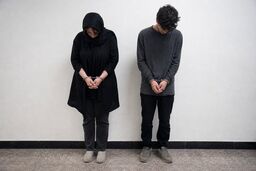 نقشه سرقت به جنایت ختم شد/ معمای پیچیده قتل زن تهرانی رازگشایی شد