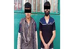 عاملان دستبرد به باغ ویلاها دستگیرشدند