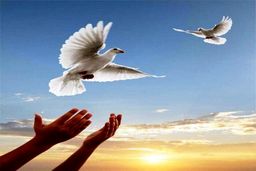 رهایی 18 اعدامی از چوبه دار در کرمان 