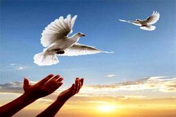 رهایی 18 اعدامی از چوبه دار در کرمان 