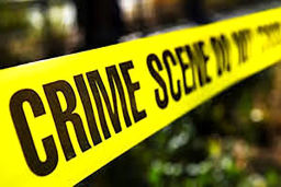 مرد عراقی همسرش را با خودرو زیر گرفت و کشت