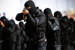 عملیات ضربتی پلیس در منطقه بیژمن شاهرود: ۴ شرور مسلح به هلاکت رسیدند
