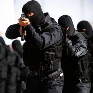 عملیات ضربتی پلیس در منطقه بیژمن شاهرود: ۴ شرور مسلح به هلاکت رسیدند