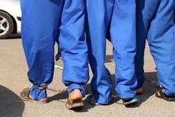 انکار متهمان در قتل پسر معتاد؛ معمای قتل زیر «درخت آرامش»