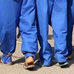 انکار متهمان در قتل پسر معتاد؛ معمای قتل زیر «درخت آرامش»